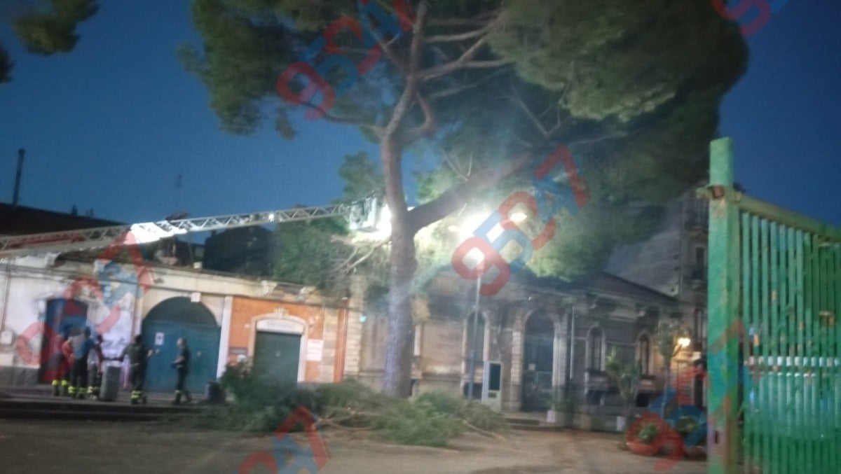 Paternò, intervento notturno sugli alberi davanti alla Villa Moncada: chiuso un tratto di via Vittorio Emanuele - 