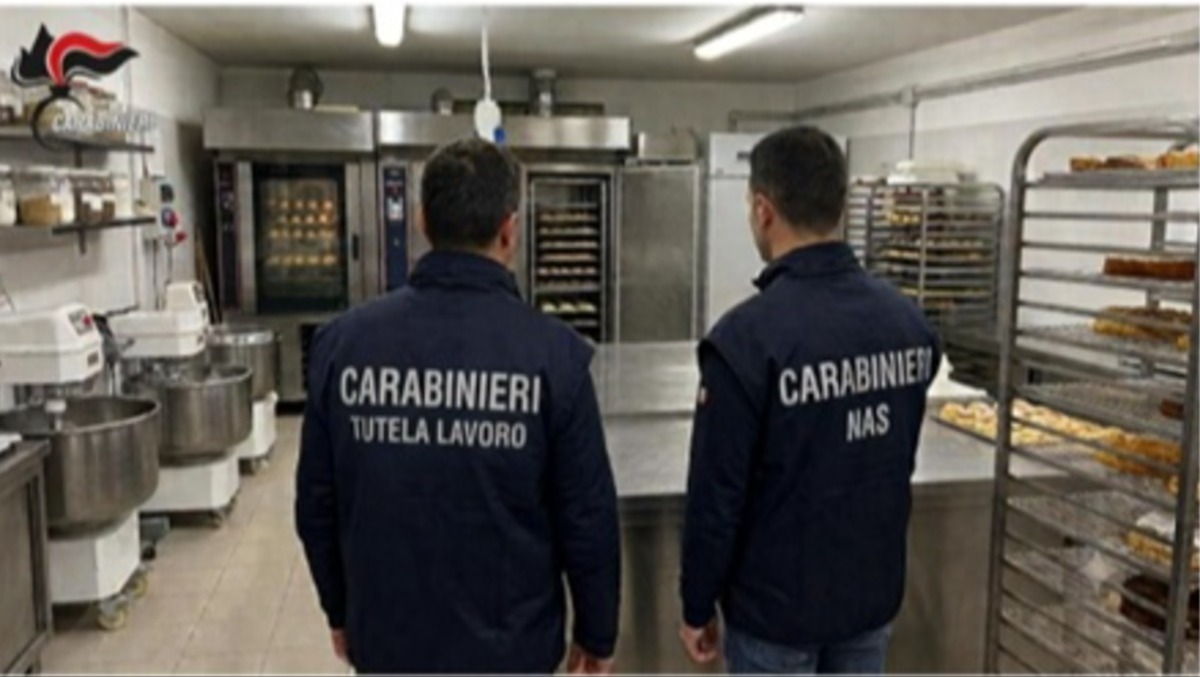 Hinterland di Catania, orrore nel laboratorio di pasticceria: blatte, muffa e oltre 600 kg di alimenti sequestrati - 