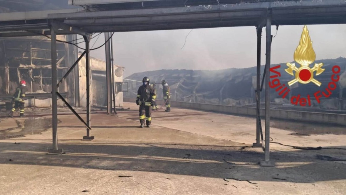 PIAZZA ARMERINA, INCENDIO DEVASTA AZIENDA AVICOLA: 3 CAPANNONI DISTRUTTI E 300MILA POLLI MORTI - 