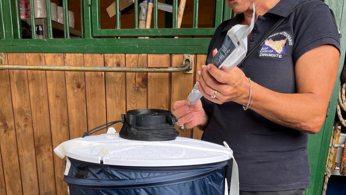 CATANIA, WEST NILE: NESSUN CASO RILEVATO MA RESTA ALTA L’ATTENZIONE - 