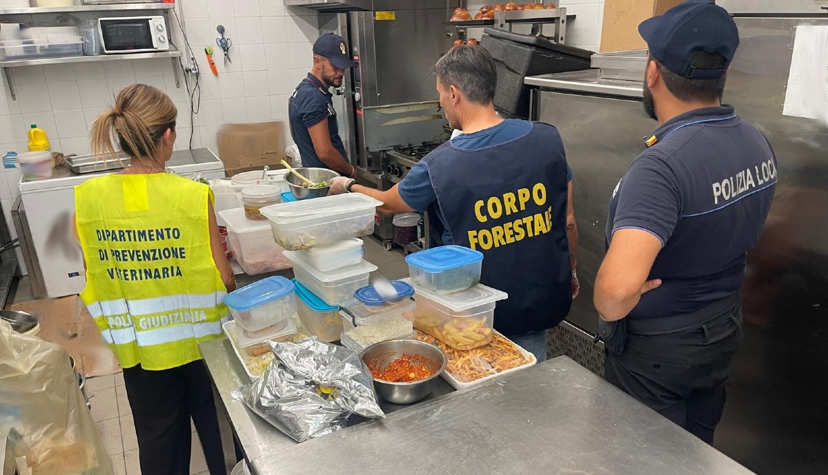 CATANIA, BLITZ A PIAZZA MICHELANGELO: 210 KG DI ALIMENTI SEQUESTRATI, LOCALE CHIUSO - 