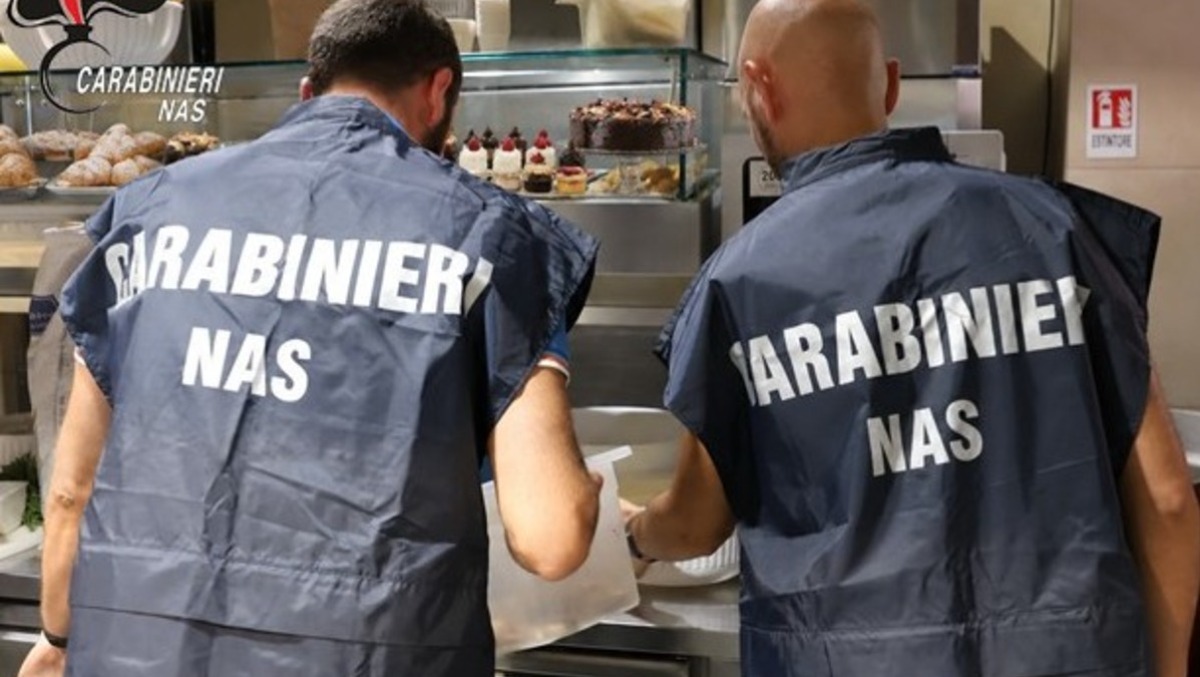 Catania, blatte vicino ai piani di lavoro in un bar-pasticceria: laboratorio sospeso - 