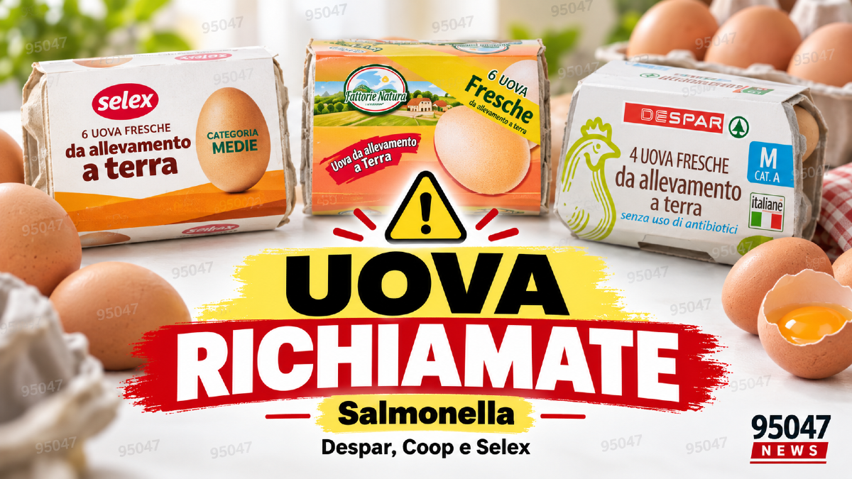 Allerta alimentare, richiamate uova per Salmonella: i marchi coinvolti sono Despar, Coop e Selex - 