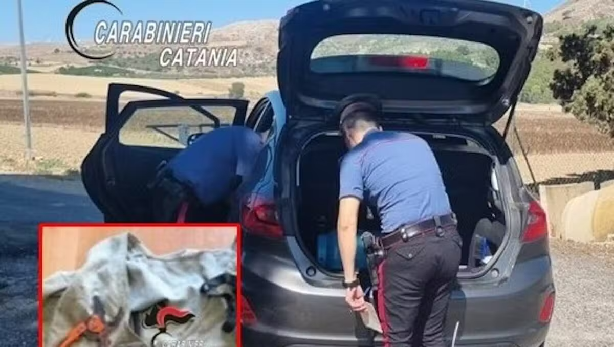 CALTAGIRONE – Caccia ai ladri d’uva: 4 denunciati con forbici e lampade - 