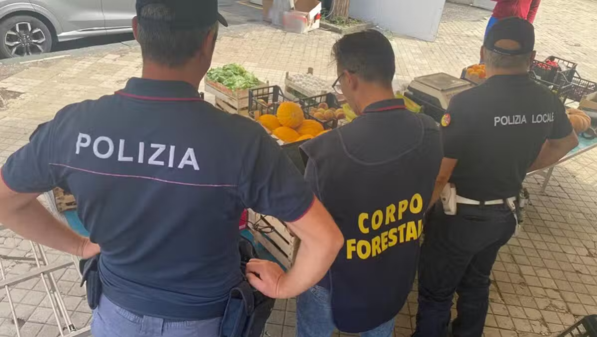 Adrano, controlli ambulanti: 233 kg sequestrati, multe oltre 12mila euro - 