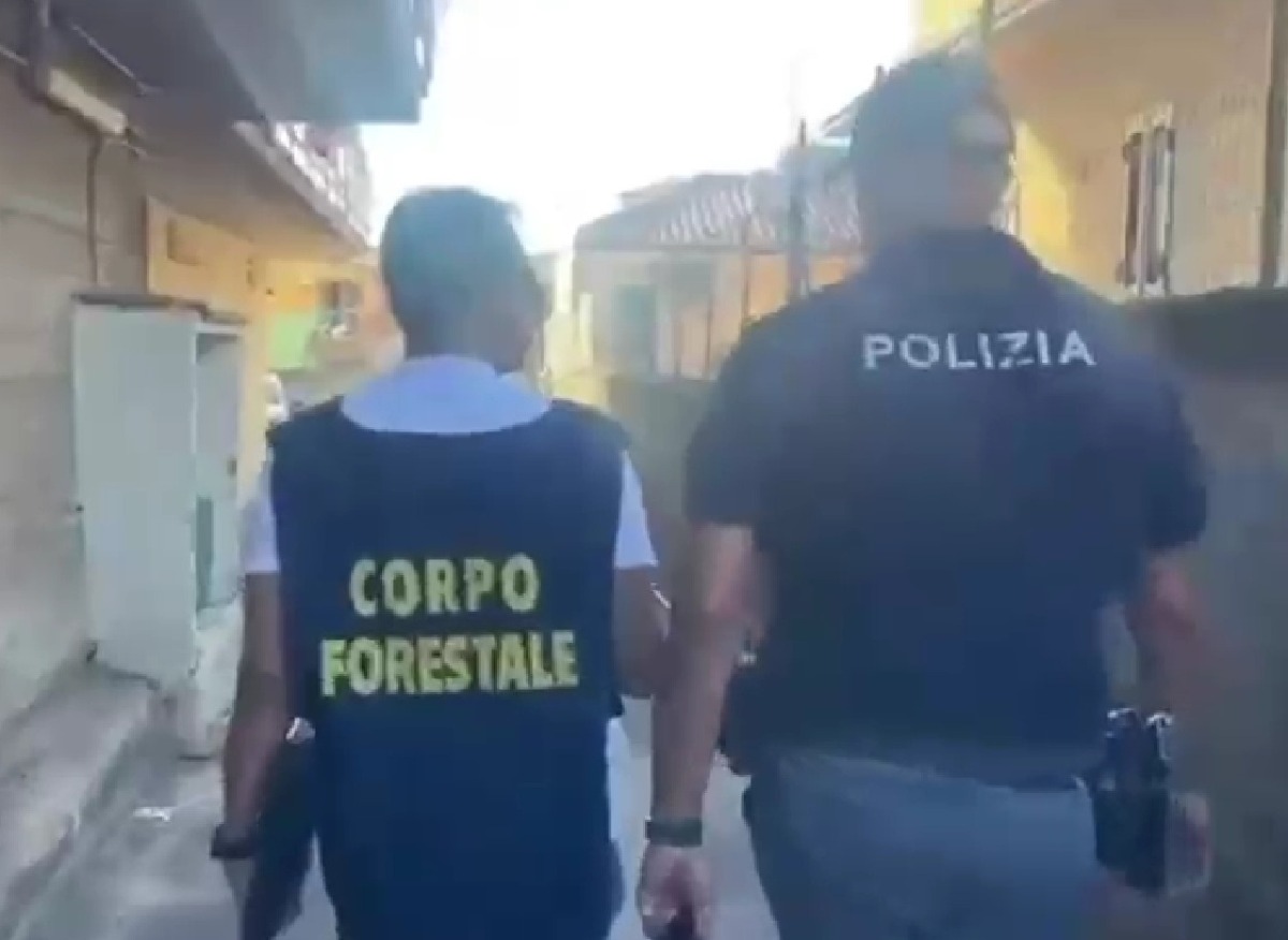 Catania, pane e brioches prodotti nel garage: scatta il maxi sequestro - 