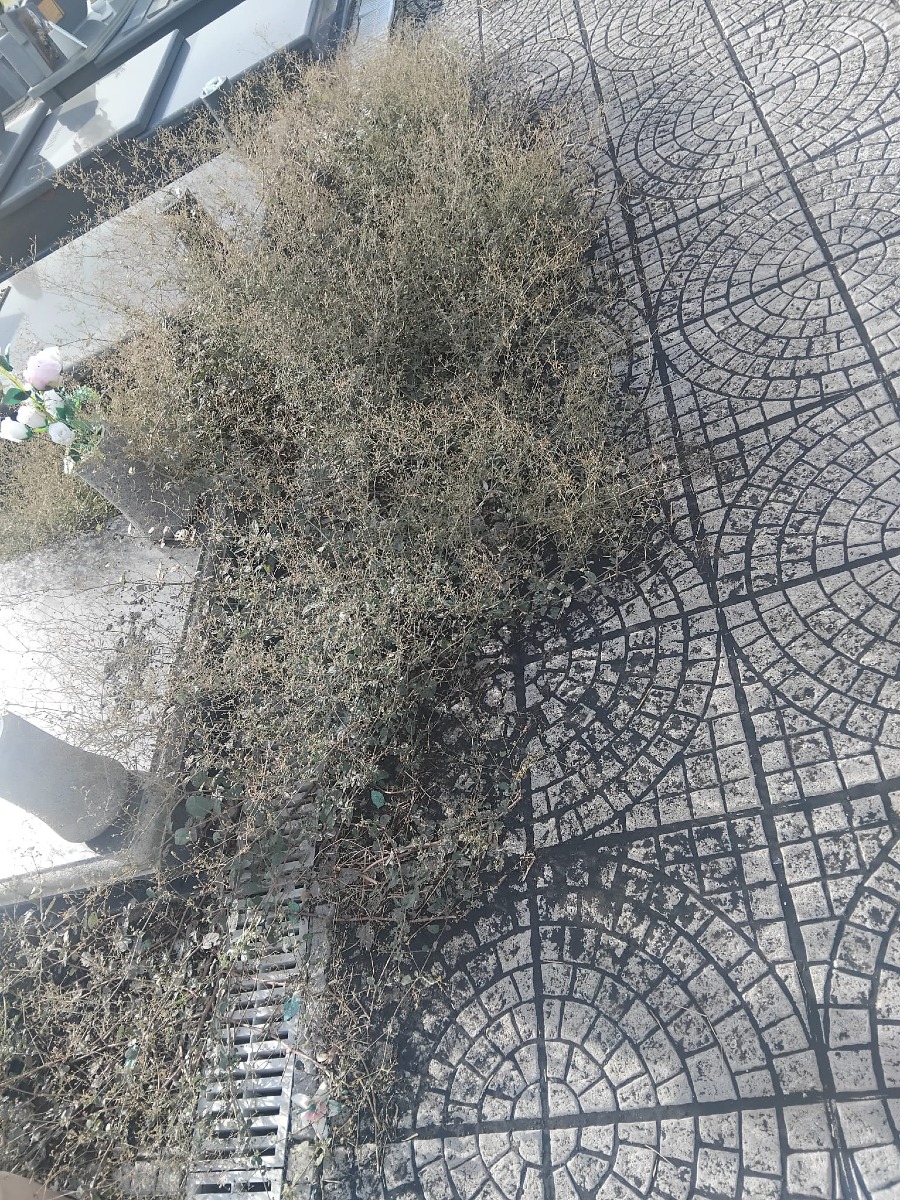 Galleria del 25/09/2026 11:59