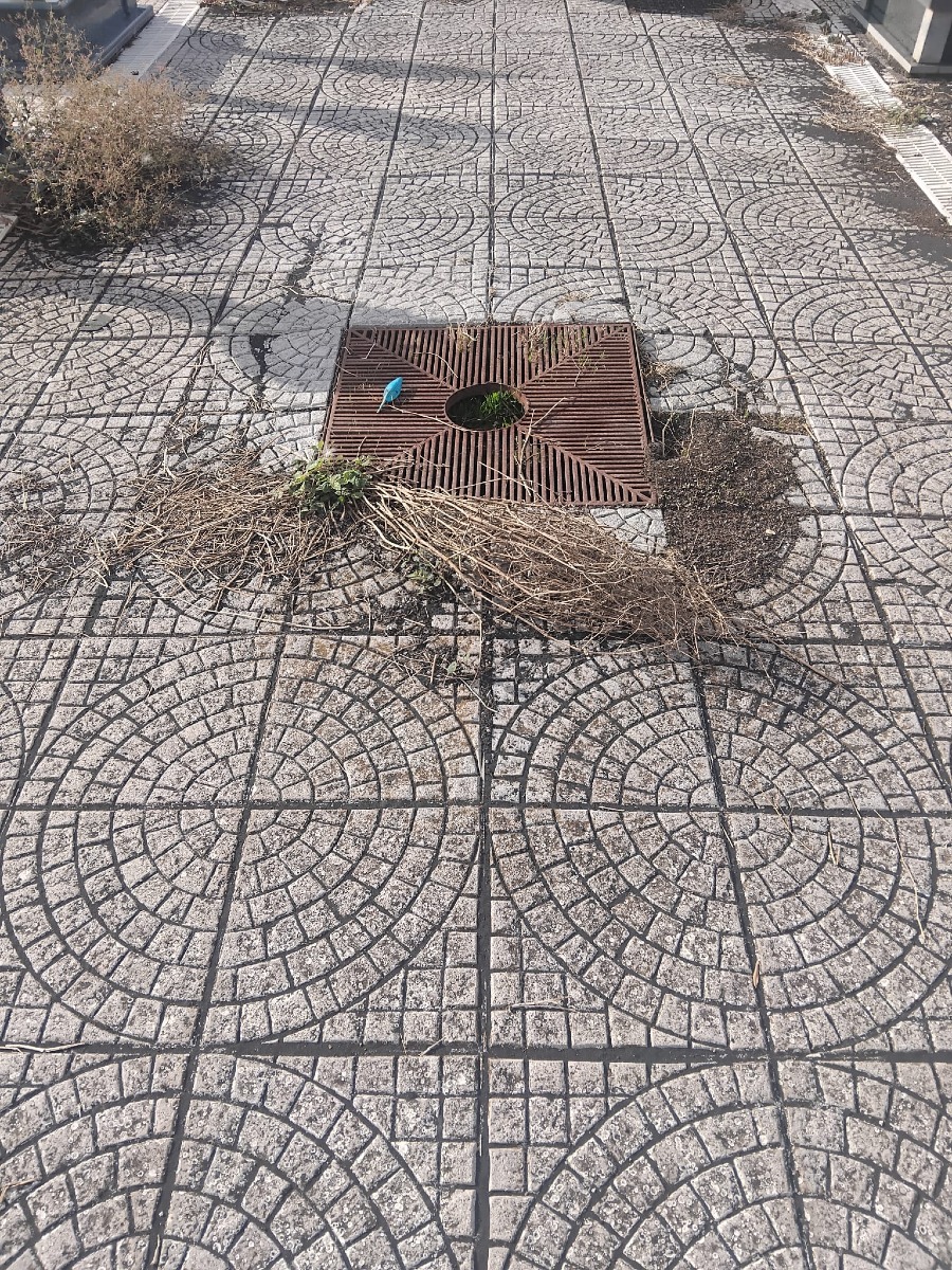 Galleria del 25/09/2026 11:59