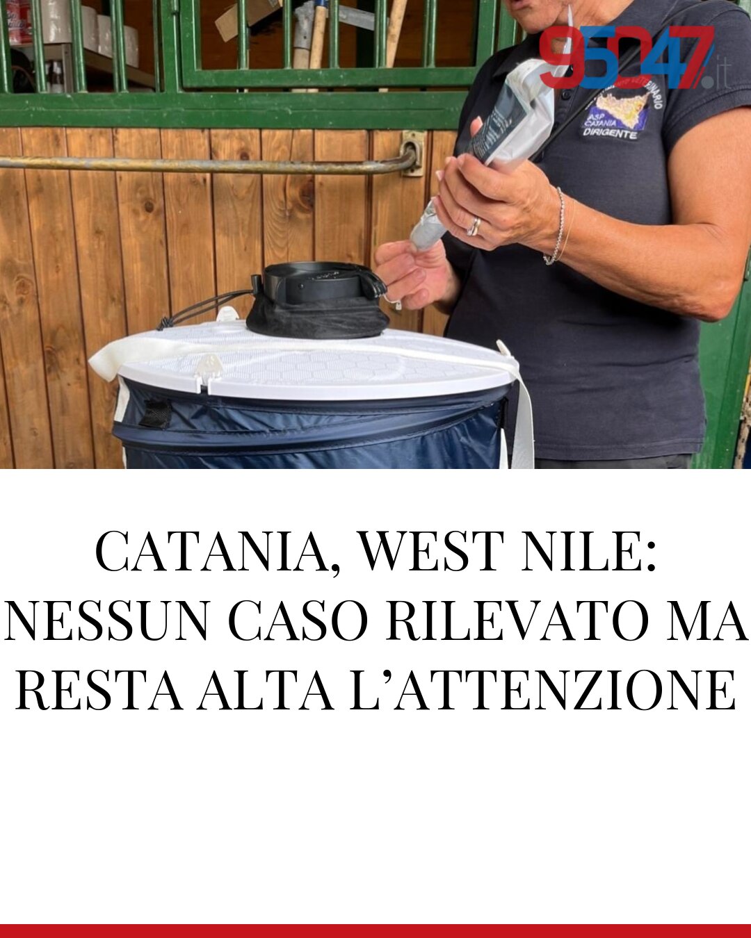 CATANIA, WEST NILE: NESSUN CASO RILEVATO MA RESTA ALTA L’ATTENZIONE