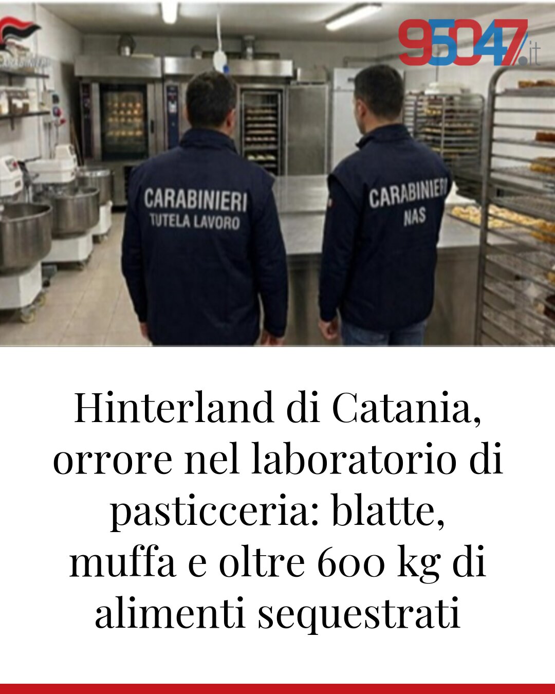Hinterland di Catania, orrore nel laboratorio di pasticceria: blatte, muffa e oltre 600 kg di alimenti sequestrati