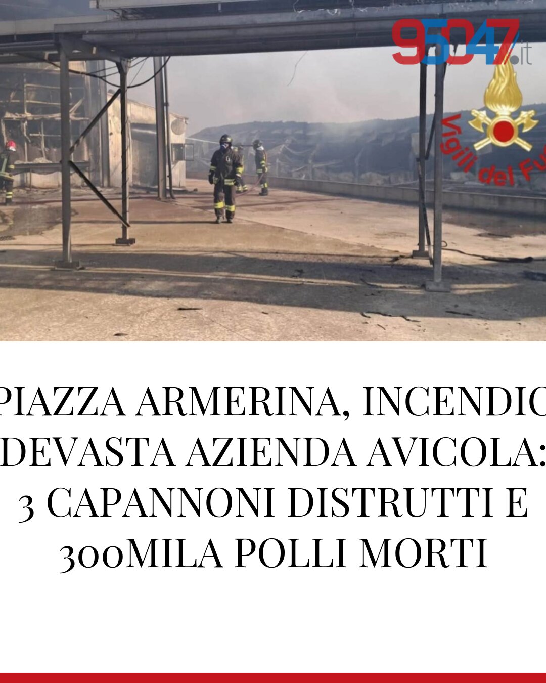 PIAZZA ARMERINA, INCENDIO DEVASTA AZIENDA AVICOLA: 3 CAPANNONI DISTRUTTI E 300MILA POLLI MORTI