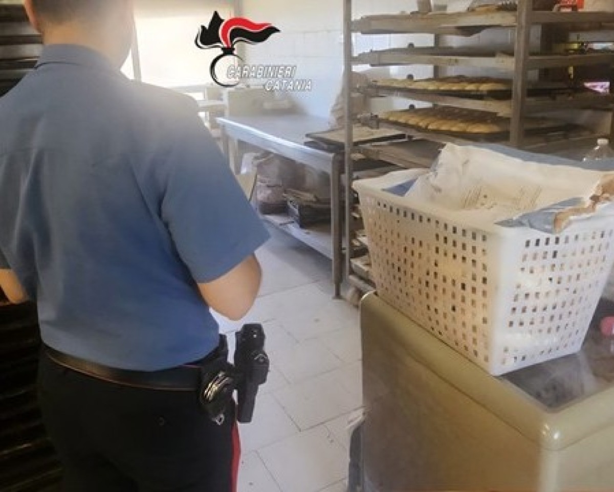 Valverde, panificio “a costo zero”: manomesso il contatore per rubare energia, denunciata 64enne - 