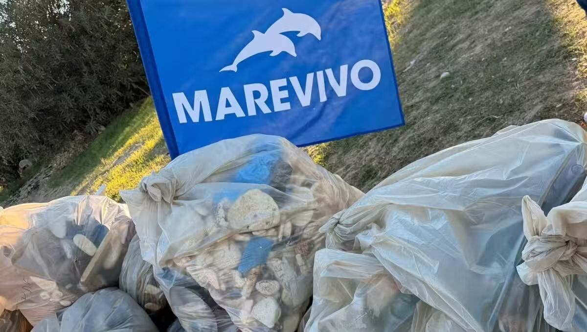 Catania, oltre una tonnellata di rifiuti raccolti alla Plaia: 79 sacchi riempiti dai volontari - 