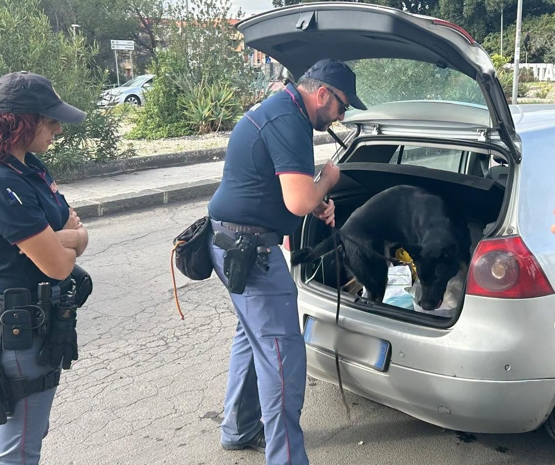 🚨 Paternò, controlli a tappeto della Polizia: 7.780 euro di multe, sequestri e 173 persone identificate
