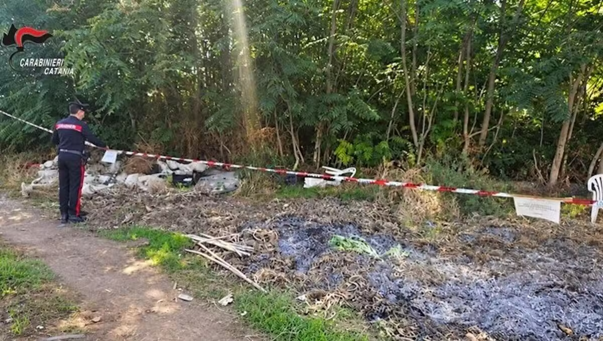  Roghi e discariche abusive tra Fiumefreddo e Mascali: denunciato un 68enne, sequestrati 5 terreni - 