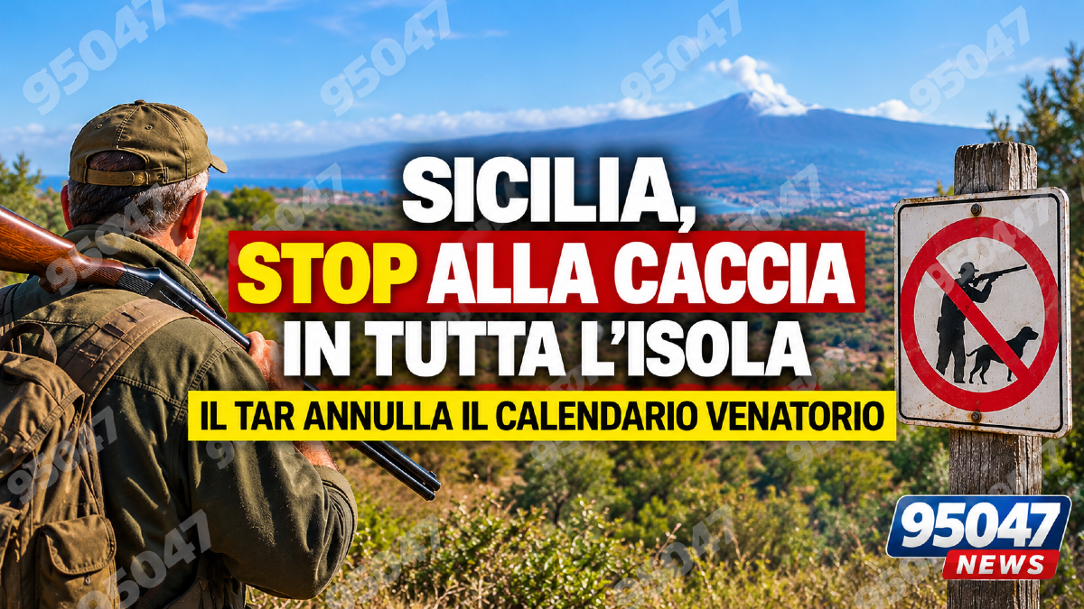 Sicilia, stop alla caccia in tutta l’Isola: il TAR annulla il calendario venatorio - 
