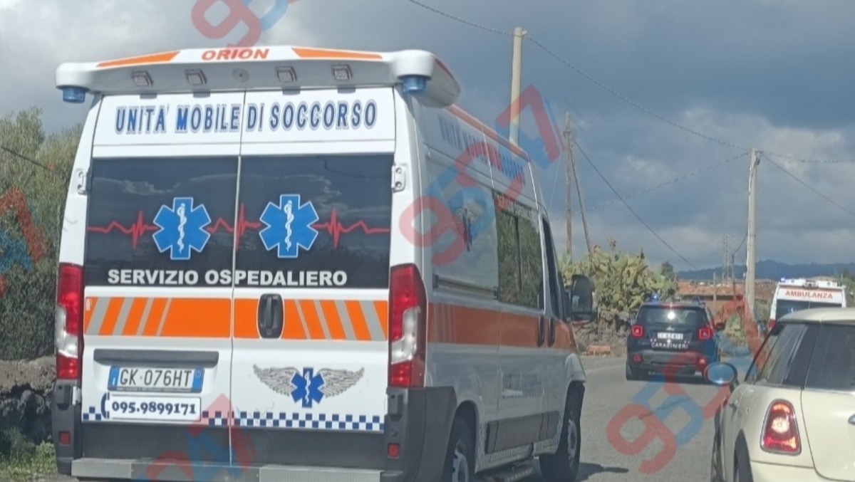 Cade mentre raccoglie olive: elisoccorso richiesto ma non atterra - 